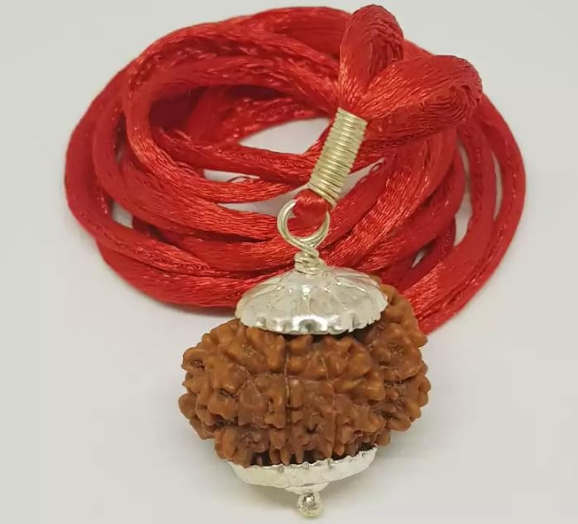 Fourteen Face Rudraksha Bead, Original Certified